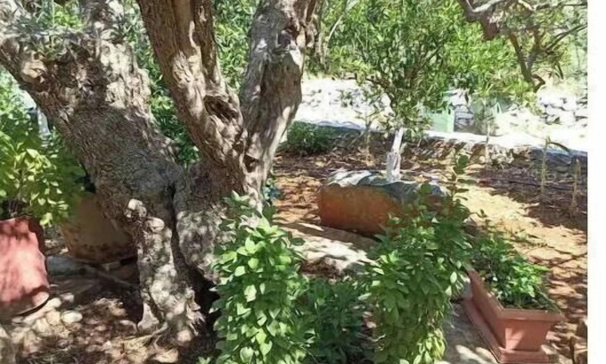 Kounelion House | Martha's Home in Fourni Village Crete
