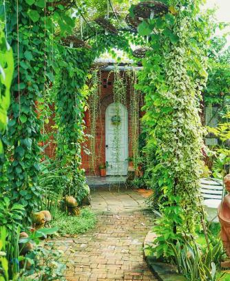Long Ho House | Mekong Pottery Homestay, Green-Friendly & Boat Tour