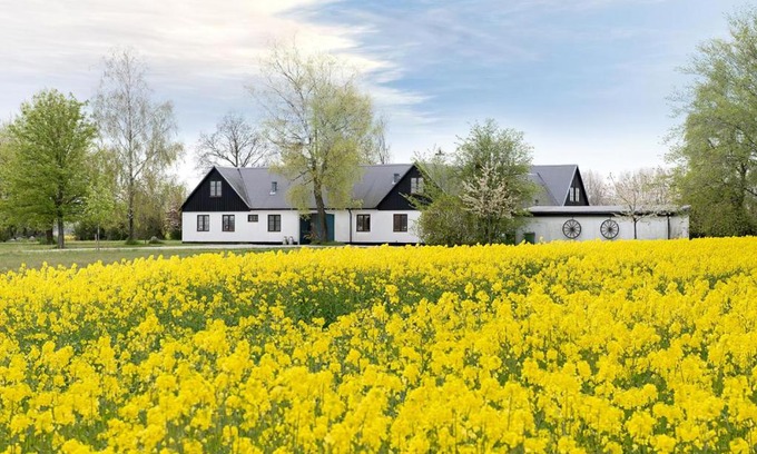 Kivik Bed & Breakfast | Mellby Atelier på Österlen