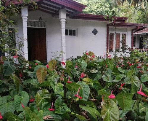 Hali-Ela House | Memories