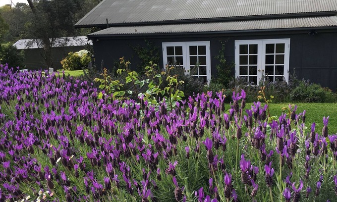 Merricks Cottage | Merricks Cottage - Boutique Accommodation