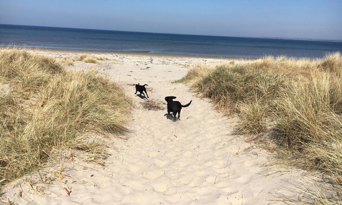 Angelholm House | MIA'S COTTAGE Your cozy cottage in southern Sweden