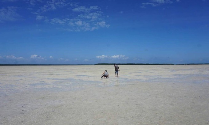 Gede Other | Mida Creek Nature Camp