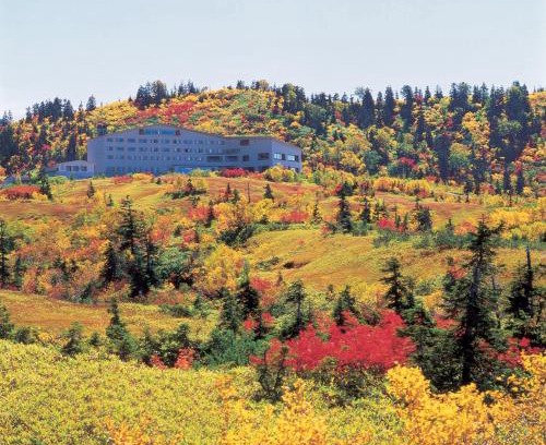 Tateyama-machi Hotel | Midagahara Hotel