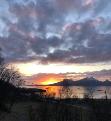 Bodo House | Midnight Sun Road