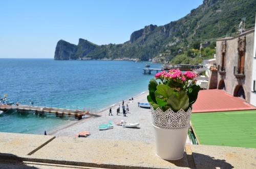 Marina del Cantone Apartment | Mimì sul Mare