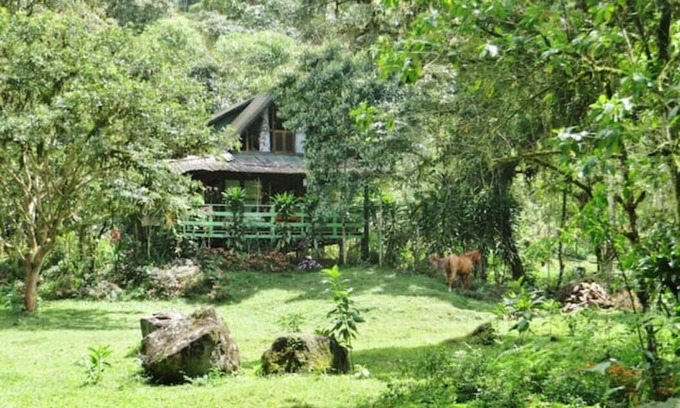 Mindo House | Mindo Eco Chalet with Natural Pool and Waterfalls