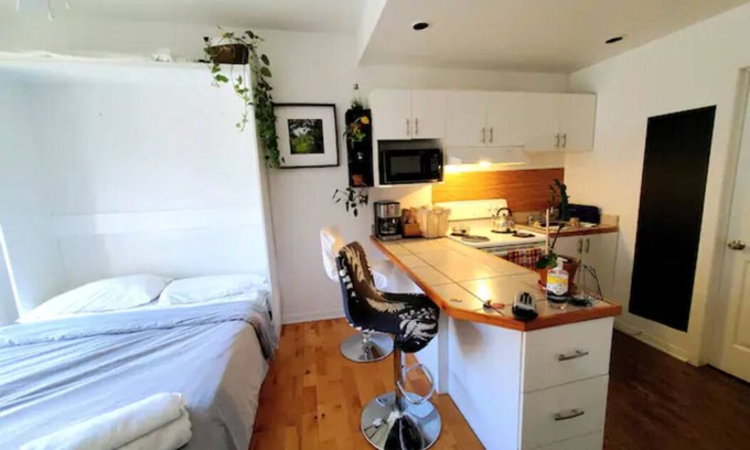 Mercier-Hochelaga-Maisonneuve Apartment | Mini condo Montreal