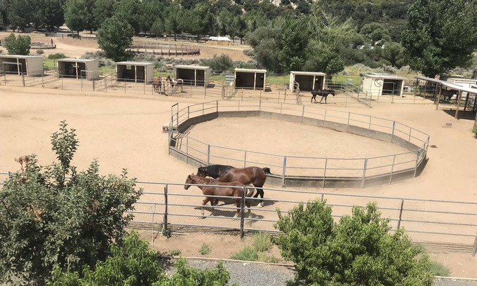 Pine Valley Apartment | Mini Dude Ranch. nWorking Horse ranch, studio, Pet friendly, Mountain Views