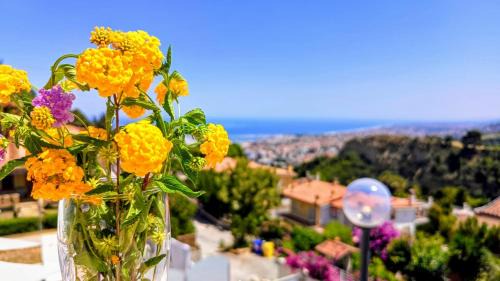 Grottammare Apartment | Mirador - Appartamento con Vista Panoramica
