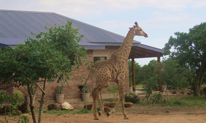 Manzini District Cabin | Mkhiweni 3 Bedroom Villa at Dombeya Wildlife Estate