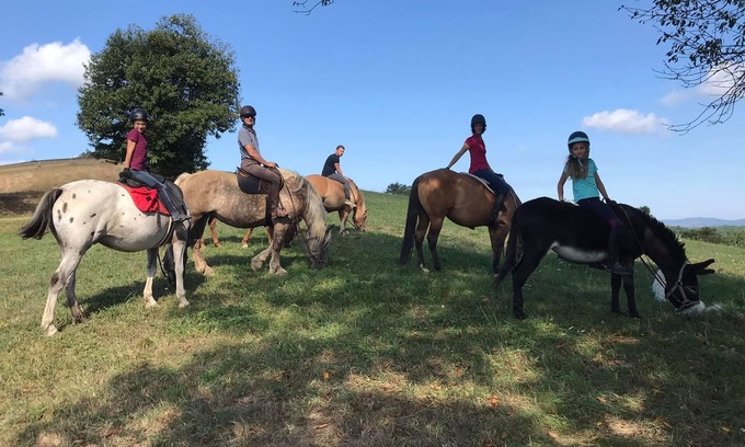 Tourtouse House | Mobile Home au Ranch du Bonheur, Évasion à la Ferme