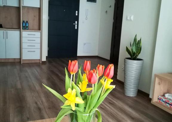 Suwalki Apartment | Modern