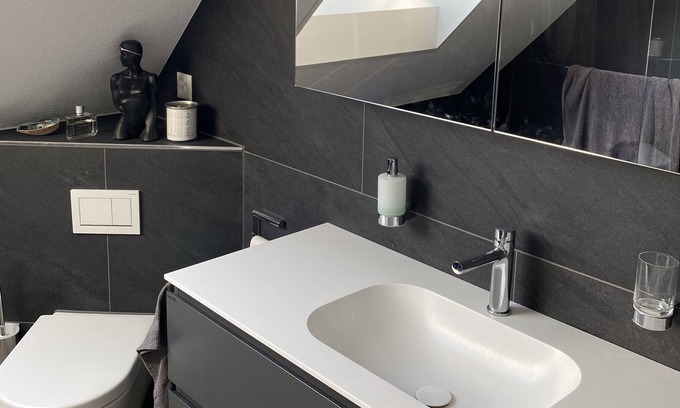 Cham Apartment | Modern roof flat in Zug / Modern roof flat in Zug