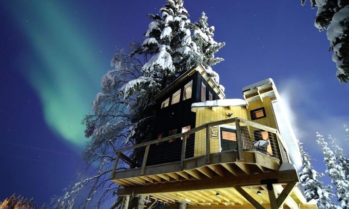 College House | Modern Tiny Home treehouse