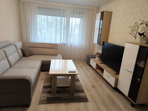 Panevezys Apartment | Monica Apartments