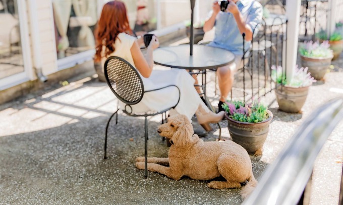 Versailles Bed & Breakfast | Montgomery Inn BnB
