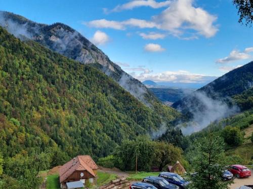 Moieciu Bed & Breakfast | Mosorel