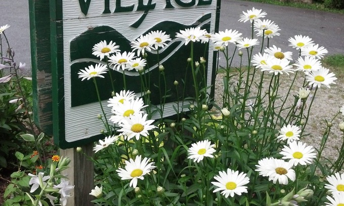 Cullowhee Cabin | Mossy Rock Cabin -secluded Location With Lake Glenville Access.