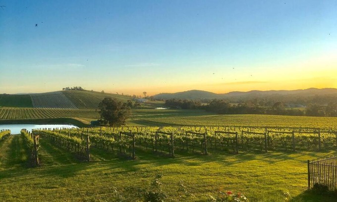 Dixons Creek Apartment | Mount Hope Estate Vineyard