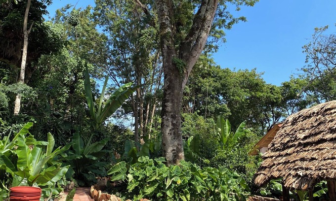 Marangu Cabin | Mrefu Eco Lodge