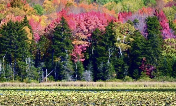 Mount Holly House | MT Holly Ski/lake house hideaway(Avail. Daily, weekends & seasonally Dec-April)
