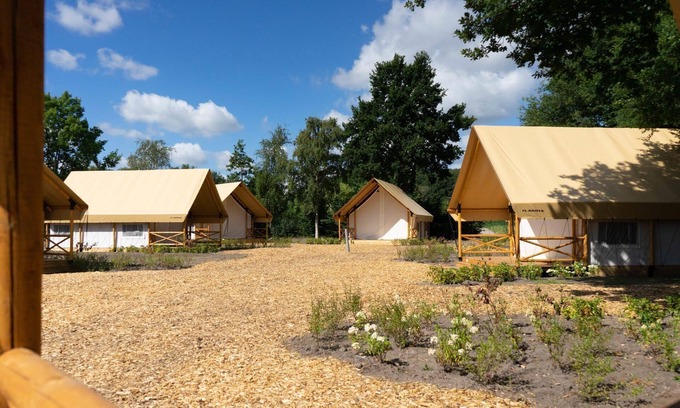 Mol Cabin | n/a