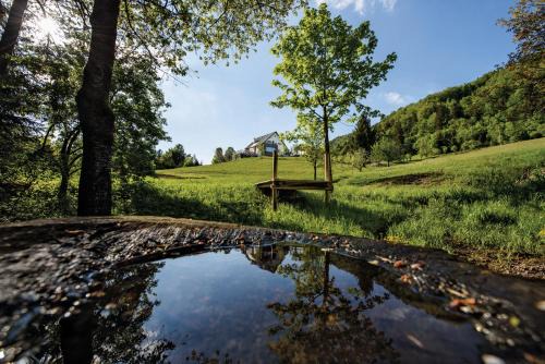 Idrija Villa | Na Kupčku Estate "Nature Reatreat & Wellness"