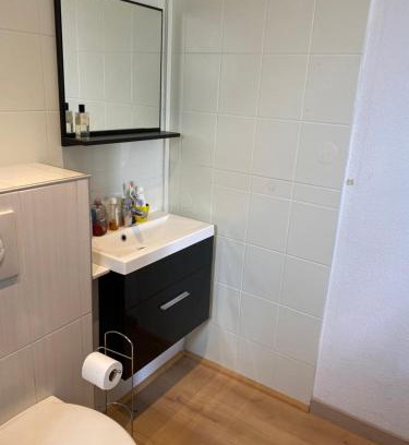 Malzeville Apartment | Nancy, Magnifique studio totalement climatisé, meublé, salle de bains et wc séparés, parking privé, cuisine équipée, WIFI
