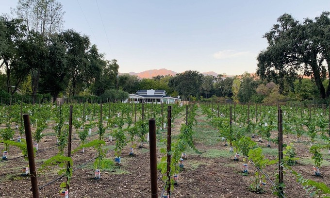 Calistoga House | Napa Valley Vineyard Estate & Guest House w/hot tub