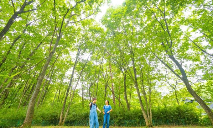 Nasu House | Nasu-gun - House - Vacation STAY 11769