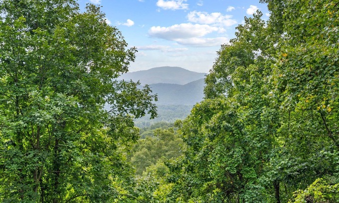 Royal Pines House | Nature Nook w/Mtn Views!-Near AVL