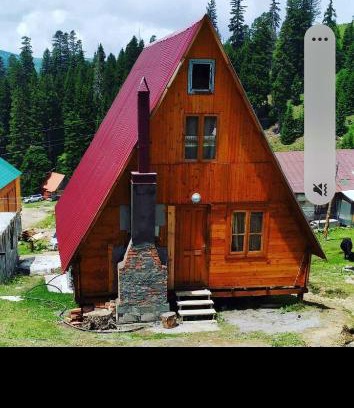 Bakhmaro Ski Chalet | Near the forest