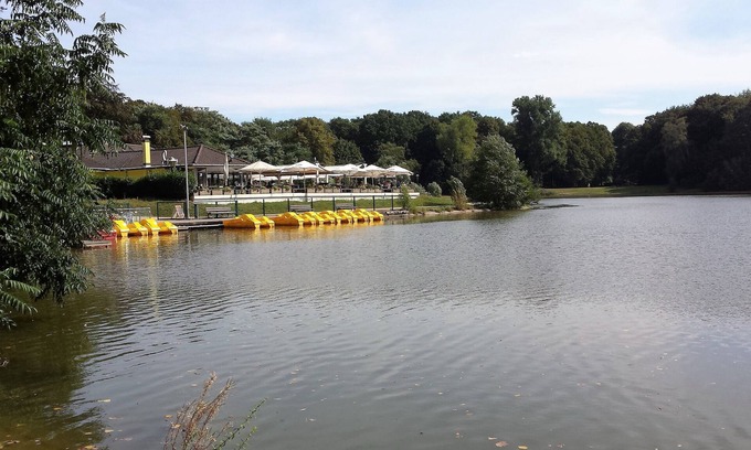 Rhein-Erft-Kreis District Apartment | near to Cologne - very close to Cologne - approx. 15 minutes to Cologne city