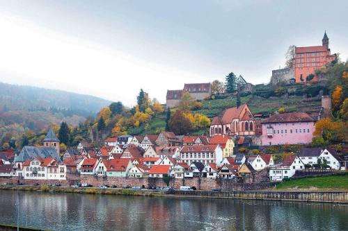 Hirschhorn Apartment | Neckarblick,Natur, Altstadt