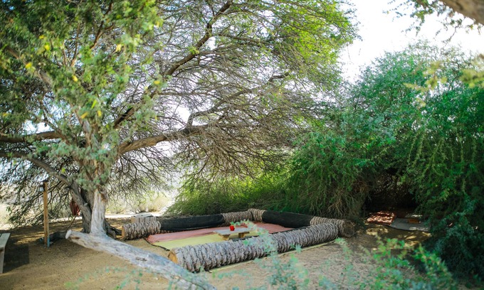 Dimona House | Negev Camel Ranch