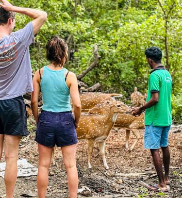 Debarawewa Hotel | Nehansa Resort and safari