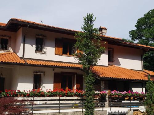 Stresa House | Nel giardino di Dafne