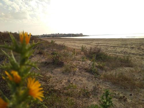 Pozzallo Apartment | NEREIDI Appartamento Agave