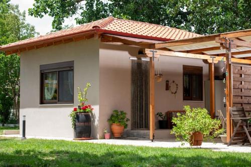 Sikia House | Nerium - Golden Fig Sykia lodge