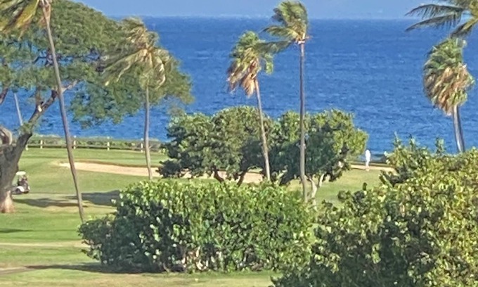 Kaanapali Apartment | New Owner Exquisitely Decorated Executive Studio GolfCourse PartialOcean View AC