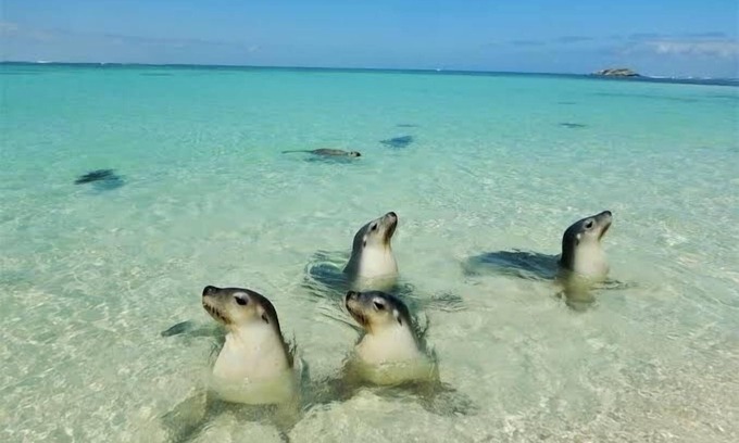 Jurien Bay House | NEW Wi-Fi Boat Parking Pet Friendly