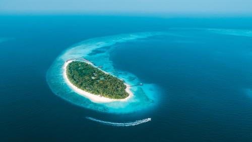Fonimagoodhoo Resort | NH Collection Maldives Reethi Resort