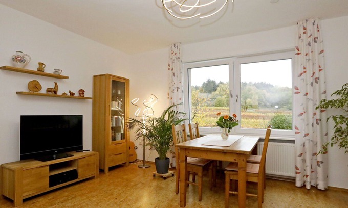 Bad Duerkheim Apartment | Nice apartment for 2 people with WIFI, TV, terrace, pets allowed and panoramic view