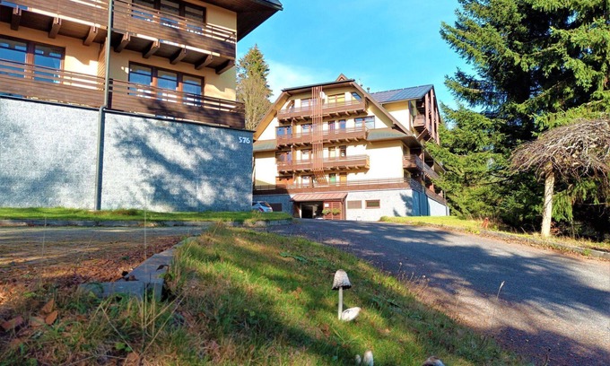 Harrachov Apartment | Nice apartment for 4 people with WIFI, TV, terrace, pets allowed and panoramic view