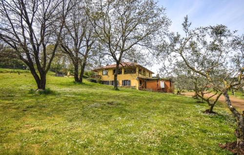 Monterosi Apartment | Nice Apartment In Monterosi With Wifi