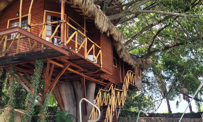 Tuxcueca House | Nido Ecoluxury Treehouse - Casa de Arbol