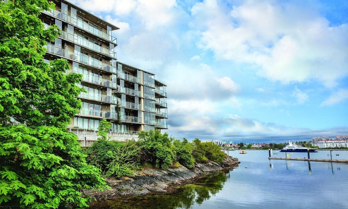 Inner Harbour Resort | Night life & Outdoor fun galore !