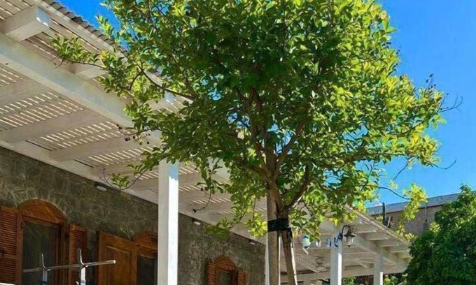 Yavne'el House | Noga Resort- resort & villa North Israel