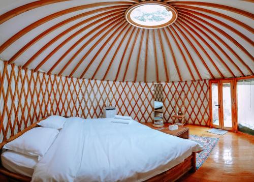 Coron Other | Nomad Yurts